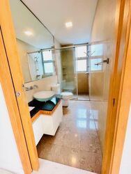 Cairnhill Crest (D9), Condominium #555068131